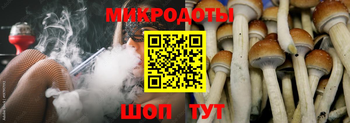 Псилоцибиновые грибы Psilocybine cubensis  Вход с VPN  Галлюциногенные грибы Psilocybe  Назрань 