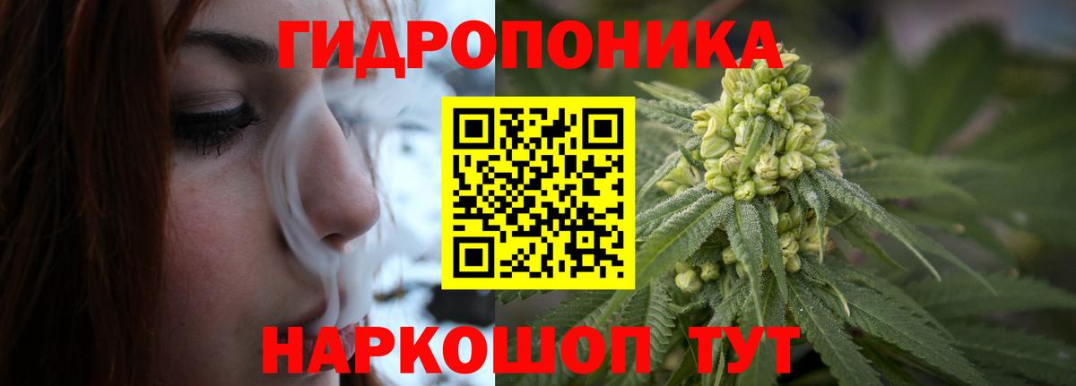 Канабис сатива  Бошки марихуана MAZAR  Вход с VPN  Марихуана конопля  Назрань  Шишки марихуана марихуана 